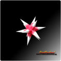 Zwickauer Adventsstern - Rot/Weiss, 16cm