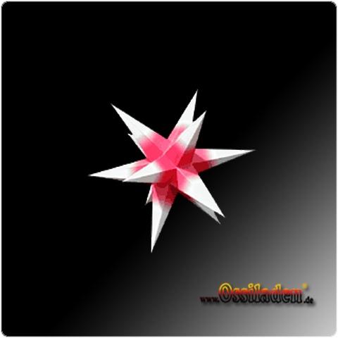 Zwickauer Adventsstern - Rot/Weiss, 16cm